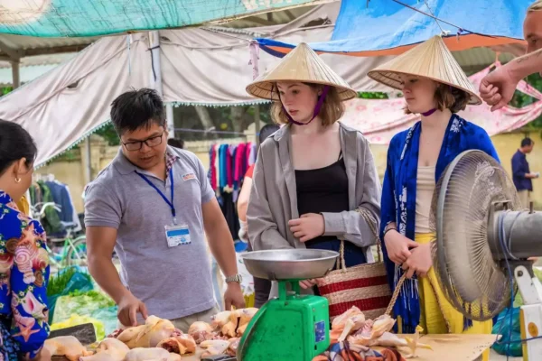 Alternative view of Hoa Lu Citadel - Tam Coc - Cycling Activity | Full-day Tour