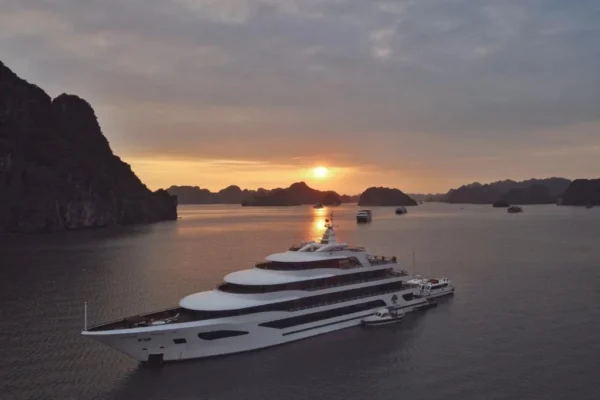 Scarlet Pearl Cruise